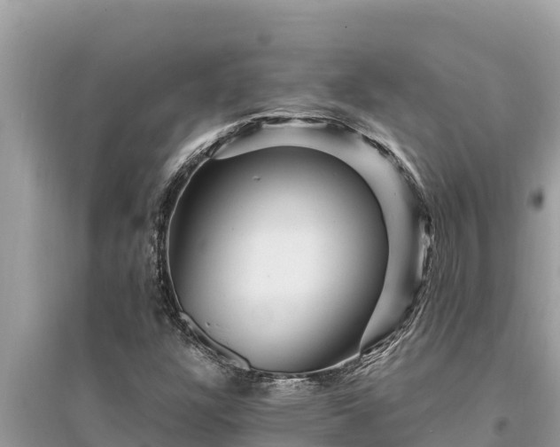 X0000095551304200712211401