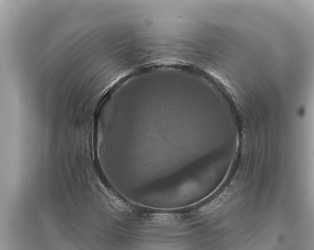 X0000095551305200712211401