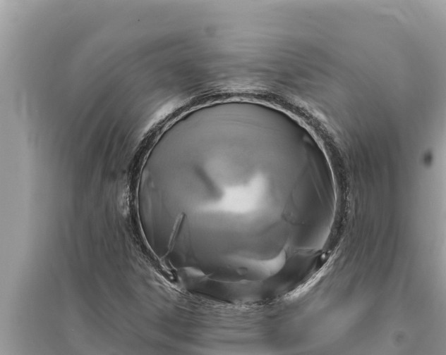 X0000095551306200712211401