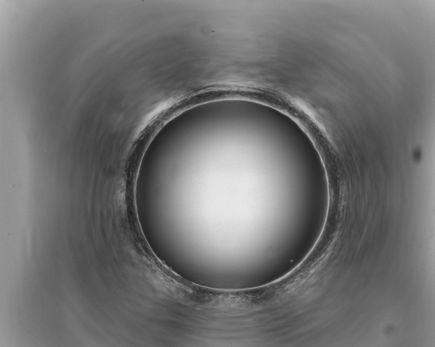 X0000095551307200712211401