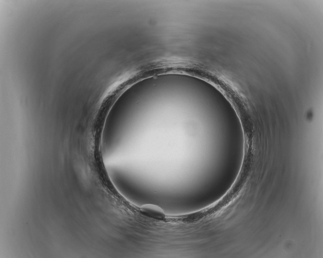 X0000095551309200712211401