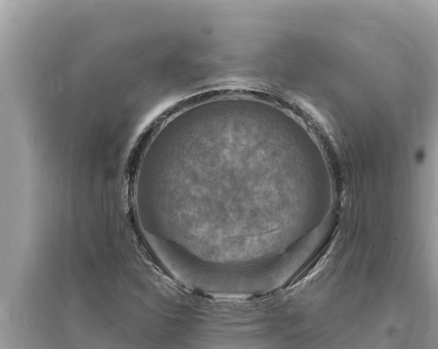 X0000095551310200712211401