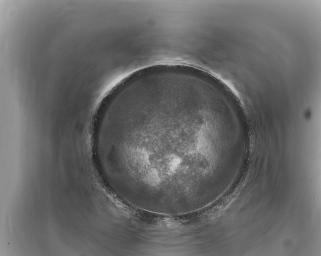 X0000095551311200712211401