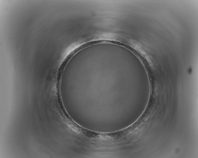 X0000095551312200712211401