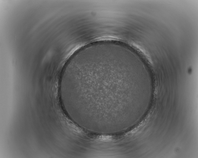 X0000095551313200712211401