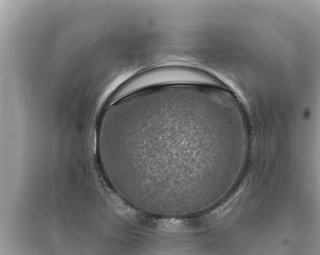 X0000095551317200712211401