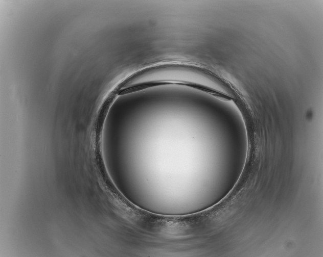 X0000095551318200712211401