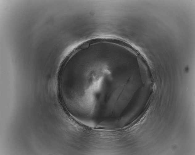 X0000095551319200712211401