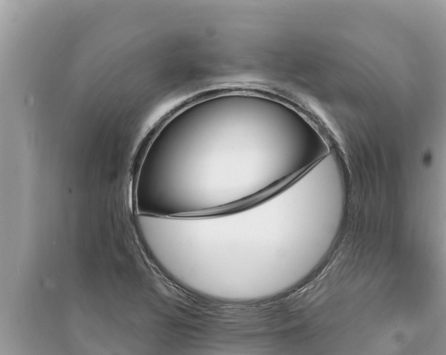 X0000095551320200712211401