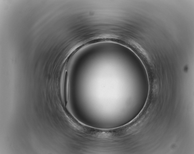 X0000095551321200712211401