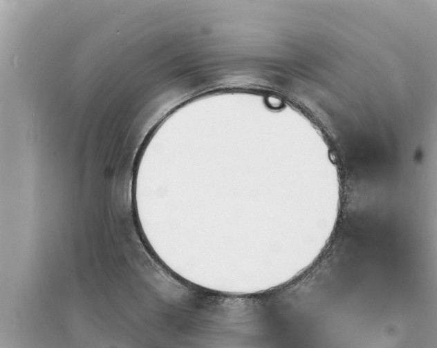 X0000095551322200712211401