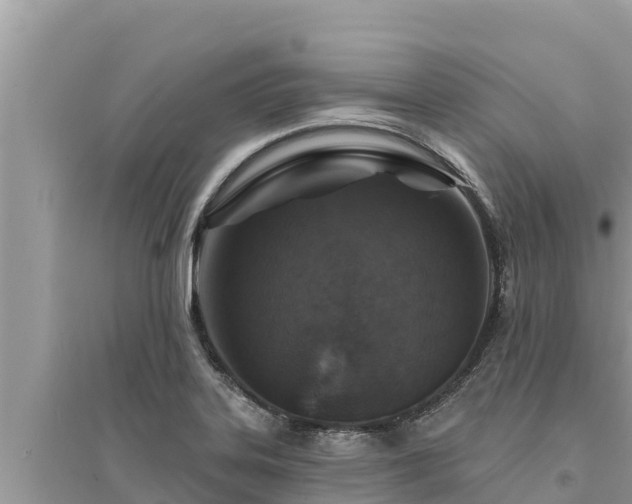 X0000095551323200712211401