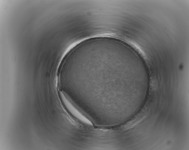 X0000095551324200712211401