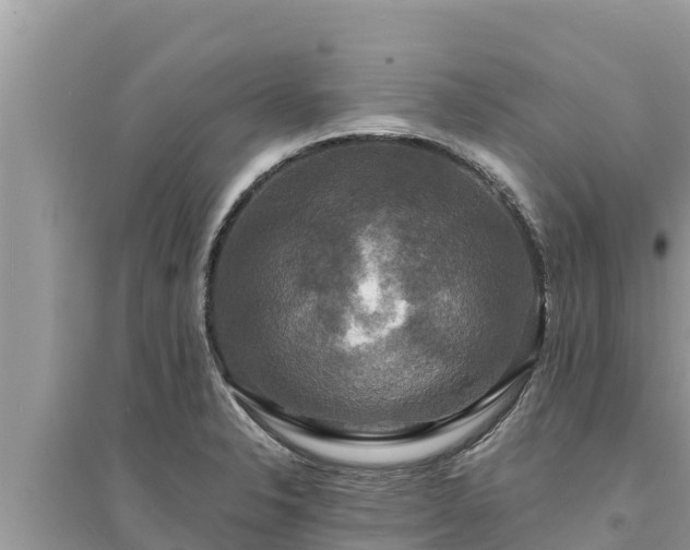 X0000095551326200712211401