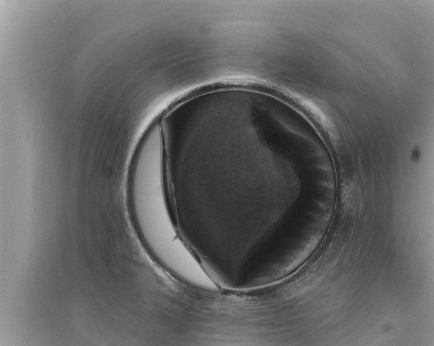 X0000095551327200712211401