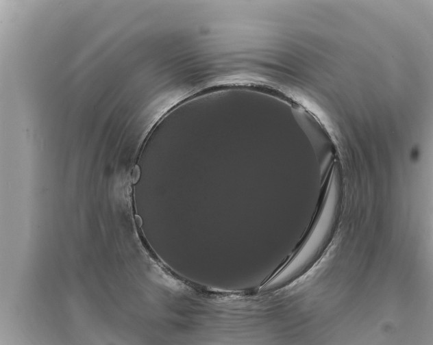 X0000095551329200712211401