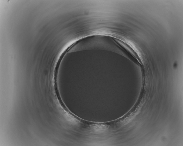 X0000095551331200712211401