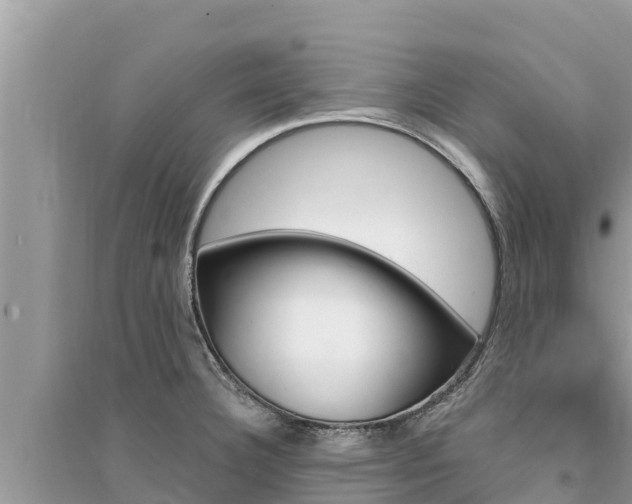 X0000095551332200712211401