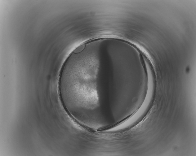 X0000095551333200712211401