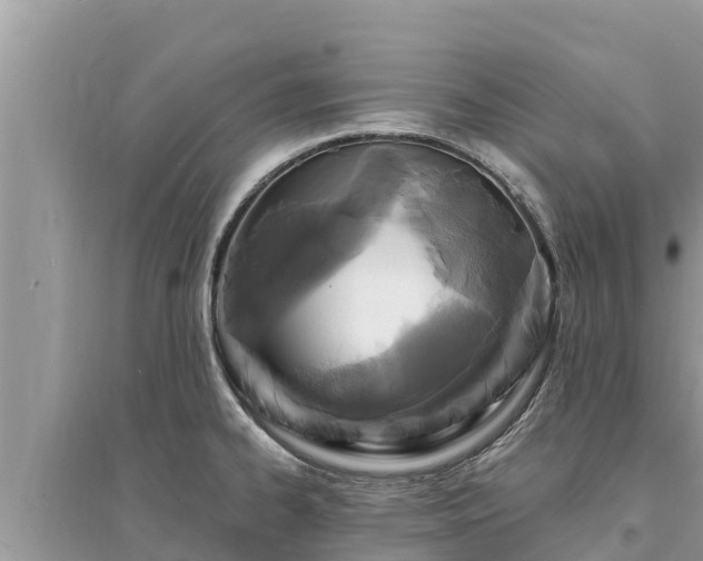 X0000095551334200712211401