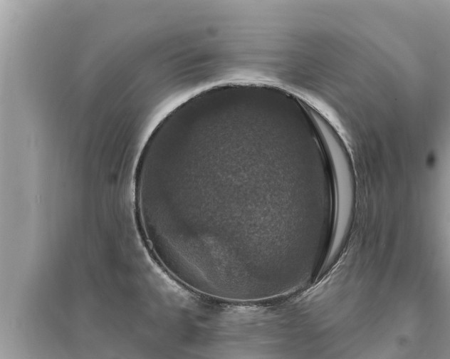 X0000095551335200712211401