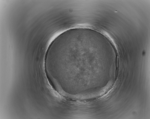 X0000095551336200712211401