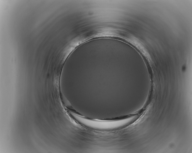 X0000095551337200712211401