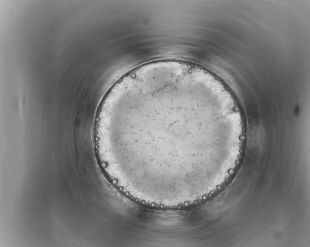 X0000095551338200712211401