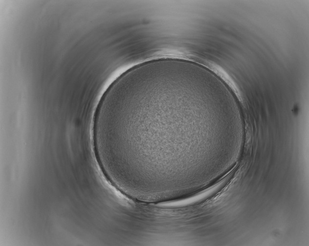 X0000095551339200712211401