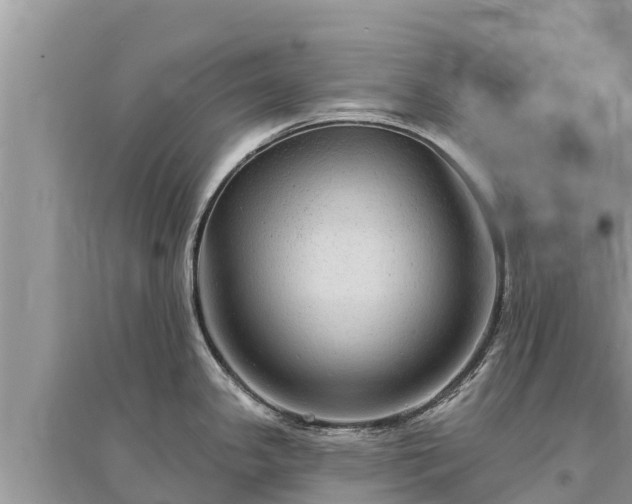 X0000095551341200712211401