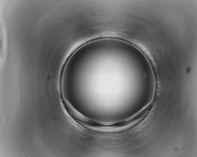 X0000095551342200712211401