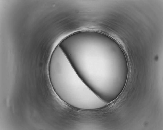 X0000095551344200712211401