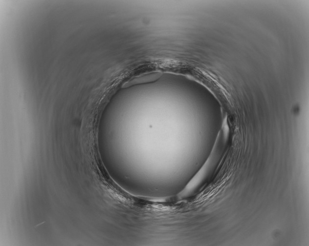 X0000095551345200712211401