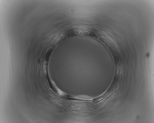 X0000095551346200712211400