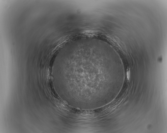 X0000095551347200712211400