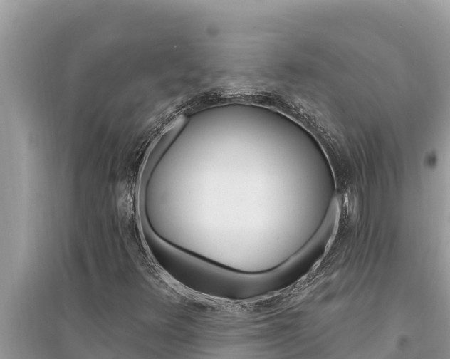 X0000095551348200712211400