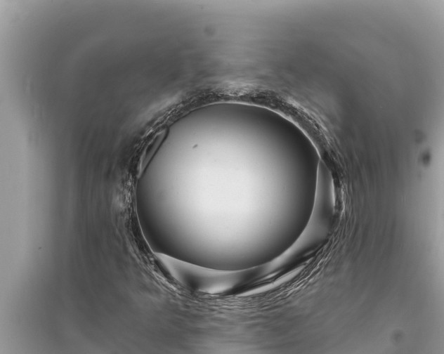 X0000095551349200712211400