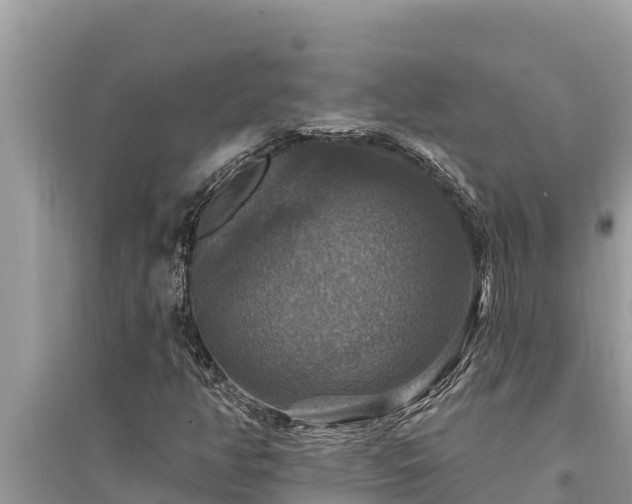 X0000095551350200712211400