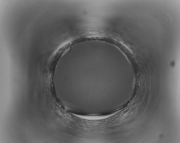 X0000095551351200712211400