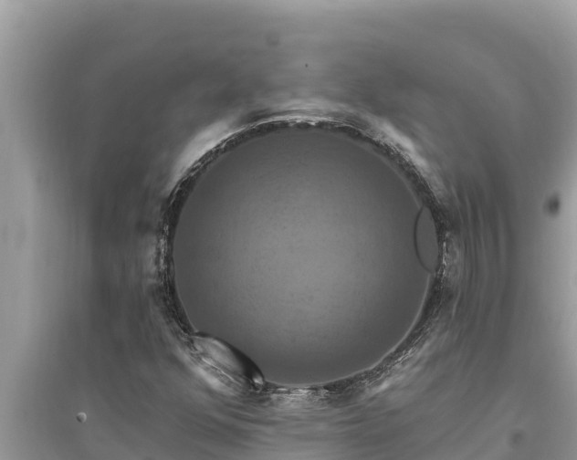 X0000095551352200712211400