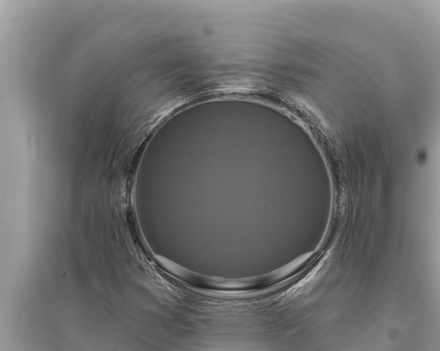 X0000095551353200712211400