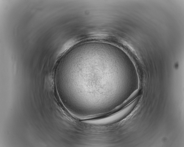 X0000095551354200712211400