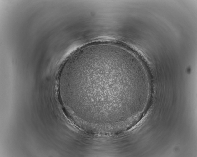 X0000095551355200712211400