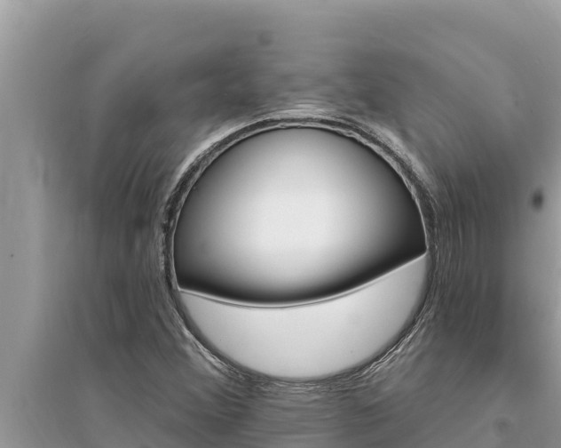 X0000095551356200712211400