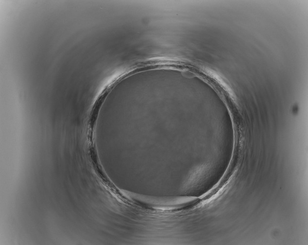 X0000095551357200712211400