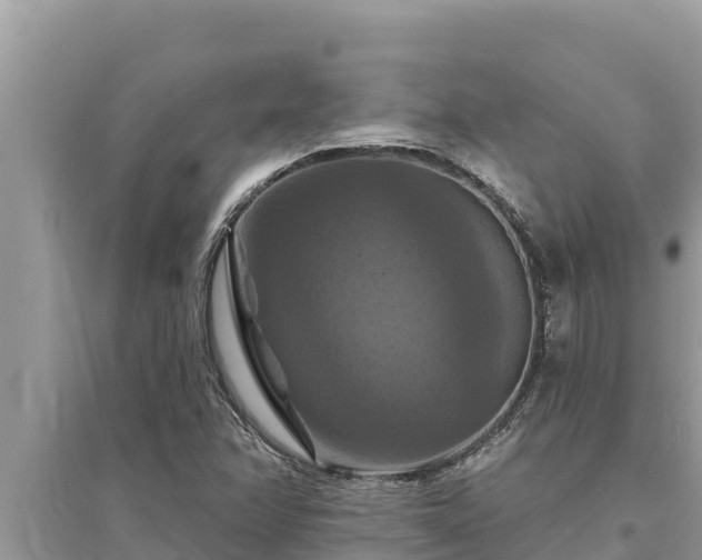 X0000095551358200712211400