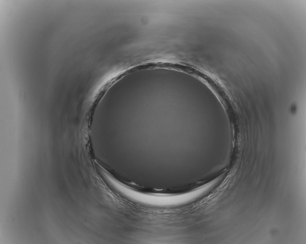 X0000095551359200712211400