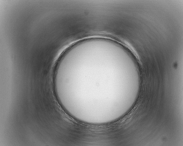 X0000095551360200712211400