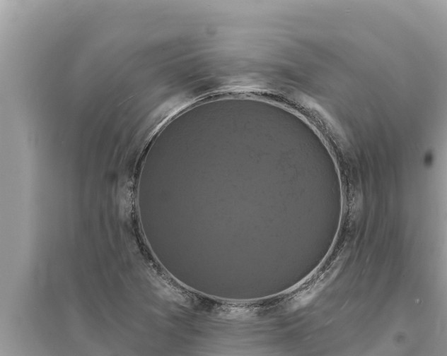 X0000095551361200712211400