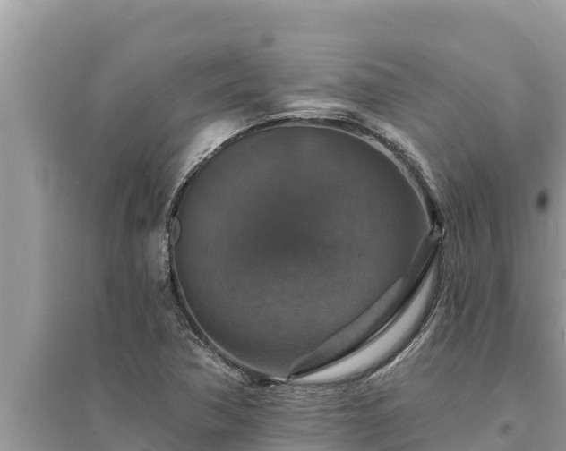 X0000095551362200712211400